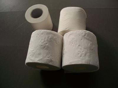 Chine Petit pain blanc de relief de papier de soie de papier hygiénique de Vierge, 2ply à vendre