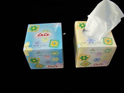China Eco Friendly Healthy 80 sheet Cube Box Facial Tissue , 18x20cm 14gsm for sale