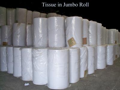 China 15gsm 1 ply / 2 ply Demand Cutting Tissue of Virgin / Recycle / Mix pulp for sale