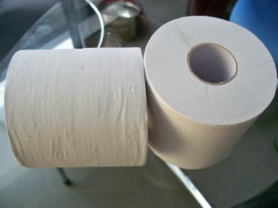 Китай Выбитый рециркулируйте белый крен салфетки туалета, крены 2ply 16gsm 10 в мешок продается