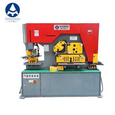 China 220V Single Phase Hydraulic Ironworker Machine Customized For Pipe Cutting for sale
