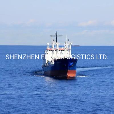 China FCL/LCL Logistic Shipping Service From China to Busan Korea for sale