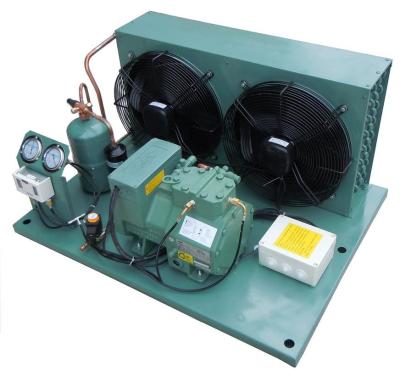 Cina Germany  brand 4VES-10Y (10HP) R404a Air-Cooled Refrigertion Condensing Unit for Cold Room Refrigeration system in vendita