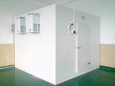 China High / Low Temperature 42KG/M3 Walk In Coldroom White Colorbond for sale