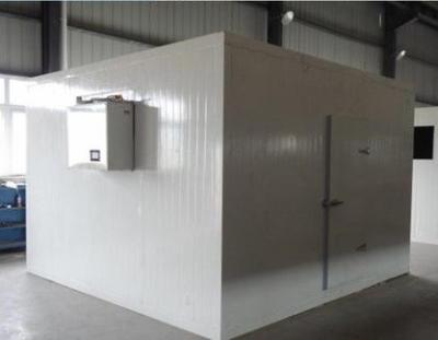 China CE SGS Fish Freezing Walk In Coldroom 0.4mm Steel Blast Freezer Cold Room for sale