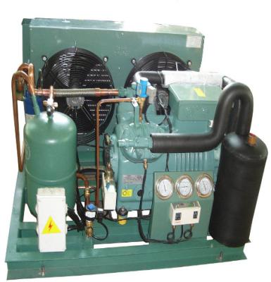 China  4EES-6Y Air Cooled Refrigeration Unit With Semi Hermetic Compressor for sale