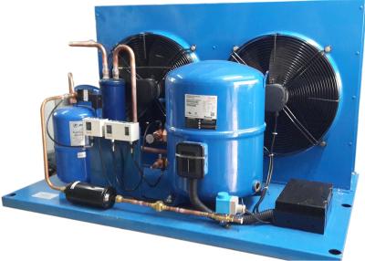 China France Maneurop Hermetic Air-Cooled Refrigertion Unit,Customized Air-Cooled Condensing Unit Used For Coldroom Storage for sale