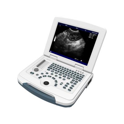 China PC Platform Veterinary Ultrasound Machine 12.1'' LCD Animal Ultrasound Scanner for sale