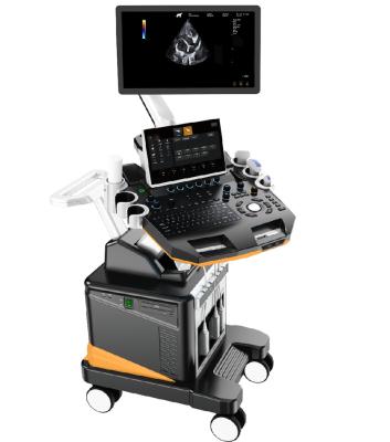China 3D 4D Trolley Dog Veterinary Ultrasound Machine With 21.5'' LCD for sale