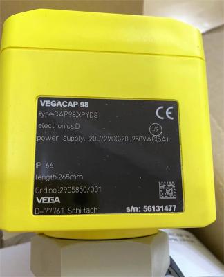 China CP62.XXBGARAMX VEGA Métro de nível VEGACAP 62 Sonda de vara capacitiva para detecção de nível à venda
