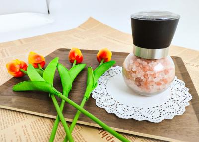 China Durable Design Refillable Salt And Pepper Grinders Glass Pepper Salt Breaking Machine à venda