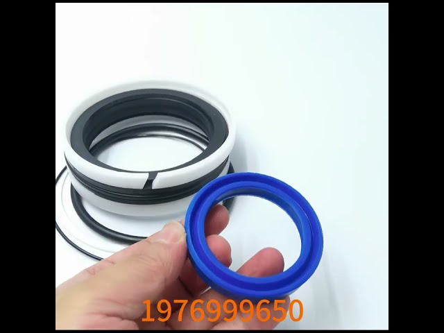 TEREX TC48 Excavator Seal Kit 1976999650 for Hydraulic Cylinder Repairs