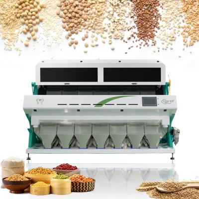China Wheat Paddy Corn Soybean Grain Color Sorter Machine High Precision for sale