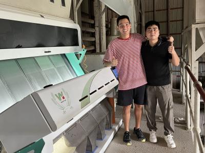 China Parboiled White Rice Colour Sorter Machine 3000kg/h - 4000kg/h for sale