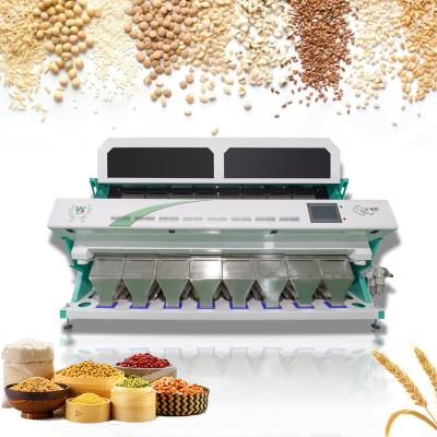 China Smart 8 Chutes Wheat Paddy Grain Color Sorter CCD Optical CE ISO9001 CE for sale