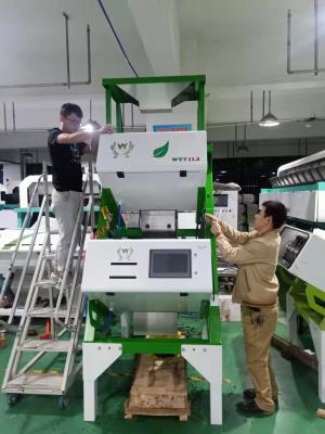 China Cheap Price Three Layers CCD Green /Black /Red Tea Color Sorter and Sorting Machine in Srilanka for sale