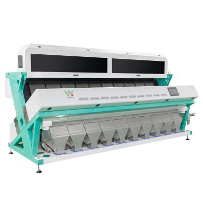 China Most Popular 10 Chute Almond Color Sorter Cashew Nut Sorting Machine Nut Processing Machinery for sale