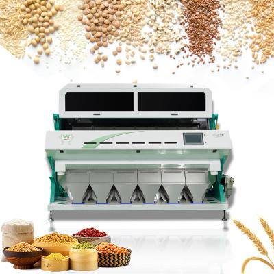 China Buckwheat / Barley CCD System Color Sorter Garlic Cloves Color Sorting Machine for sale