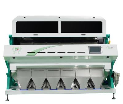 China Reliable CCD Color Sorting Machine Pumpkin Seed Kernels Color Sorter en venta