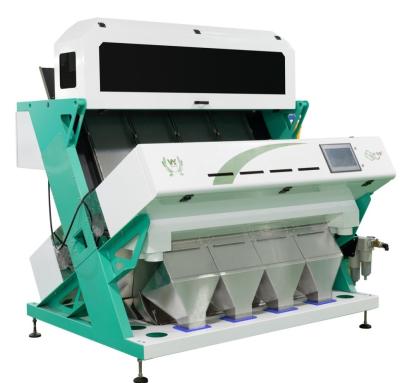 China PET Plastic Color Sorting Machine 256 Channels with Toshiba Camera for sale