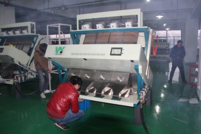 China Broad Bean Color Sorter Machine CCD Colour Sorter With Full Color Technology for sale