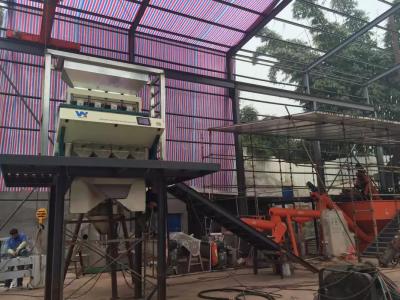 China Automatic CCD Grain Color Sorter , 3t/h Pepper Sorting Machine for sale
