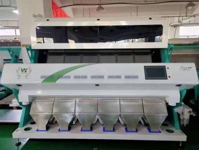 China Cardamom Color Sorting Machine Beans Color Sorter Cardamom Processing Line for sale