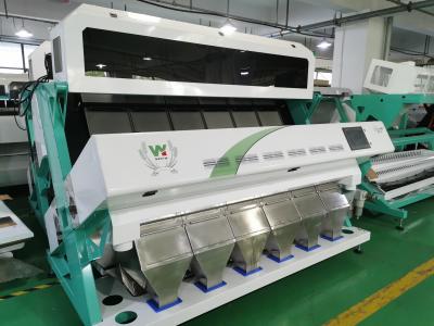 China 6 Chutes 384 Channels Tea Sorting Machine with high speed camera for sale