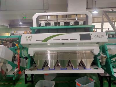 China High Capacity  Automatic Pet Flakes Plastic Color Sorter Machine With Professional Price for sale