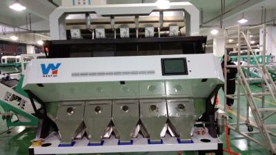 China WENYAO Newest Type Cashew Nuts Color Sorter Manufacturer in Fefei China for sale