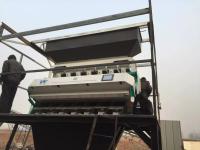 China 7 Chutes Buckwheat Color Sorter 448 Channels Automatic Colour Sorting Machine for sale