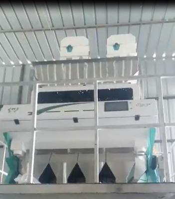 China Agricultural Machinery Cereals 4 Chutes Grain Color Sorter Toshiba CCD 2t/h for sale