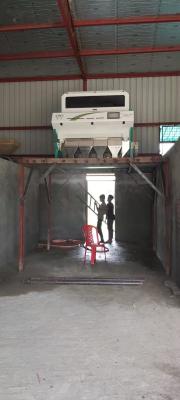 China Clasificador del color de la semilla de girasol en máquina del clasificador del color de la semilla de la sandía de China en venta