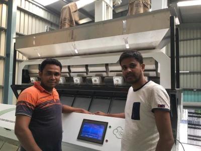 China Multifunctional Grain Color Sorter With 220V 50HZ Single Phase for sale