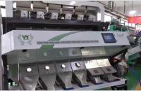 Китай Многофункциональный любимец 384 PP ABS PVC каналов шелушится машина пластикового цвета сортировщицы цвета цвета пластикового сортируя продается