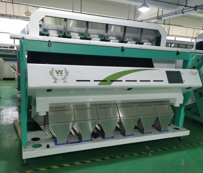 China Pet Flake Plastic Color Sorting Machine Taiwan Meanwell Power for sale