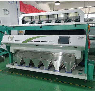 China Intelligent CCD Color Sorter Pepper Grading Machine High Efficiency for sale