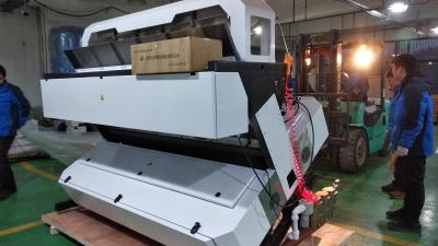 China Automatic Computing Garlic Grading Machine 5 Chutes 12 inch Humanized display for sale