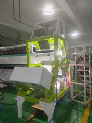 China Máquina de WENYAO Flower Tea Color Sorter para la selección amarilla de los palillos en venta
