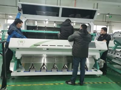China 448 Channels Vegetable Olive Fruit Sorting Machine Unpeeled Garlic Optica Color Sorter for sale