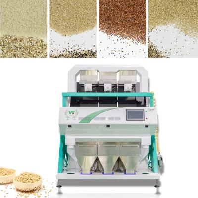 China High Capacity Intelligent CCD Black Rice Color Sorter Machine Hot in India for sale