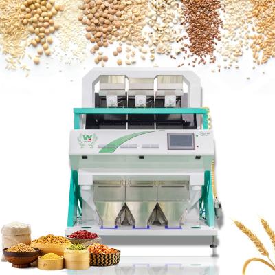 China Sesame Seeds Color Sorter Seeds Color Sorting Machine With Ccd Digital Camera for sale