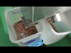 Cocoa Bean Color Or Size Sorting