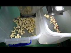 garlic color sorting