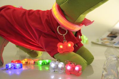 Китай PET LED flashing collar necklace Buckle Safety Night Light bone dog ID tag Pendant продается