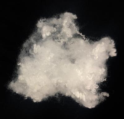 China Recycled Hollow Conjugated Silicon HCS Polyester Fiber 7D/15D X 64MM for sale