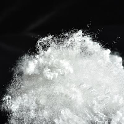 Cina La cavità ha coniugato la fibra di graffetta di poliestere rigenerata Siliconized con voluminosità eccellente in vendita