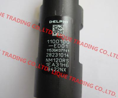 China DELPHI 28231014 / 1100100-ED01 common rail injector 28231014 for Great Wall Hover H6 1100100-ED01 for sale