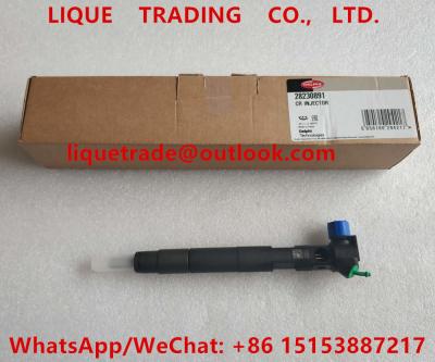 China DELPHI Common Rail Injector 28230891 , A6510701387 Fuel Injector 6510701387 for sale