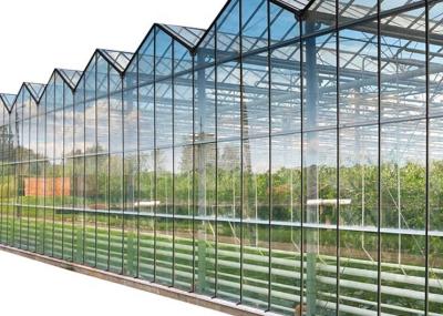 China Multi Layer Heat Insulating Glass For Greenhouse Solar Glass for sale